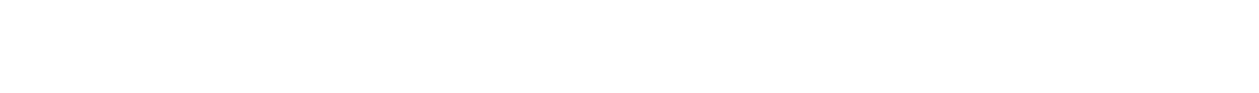 Ashley Madison Logo